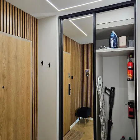 公寓 Bagry Luxury 19 克拉科夫